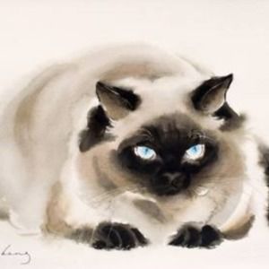 Meet your Posher, Ragdoll